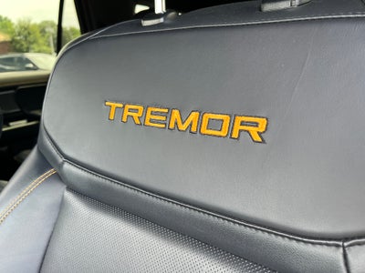 2025 Ford Expedition Tremor