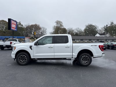 2023 Ford F-150 Base