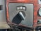 2010 Ford Super Duty F-250 SRW XL